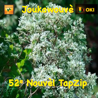 52e Nouvel TapZip 2025
