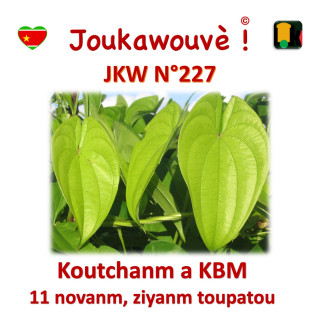 JKW N°227 Koutchanm a KBM asi Ziyanm
