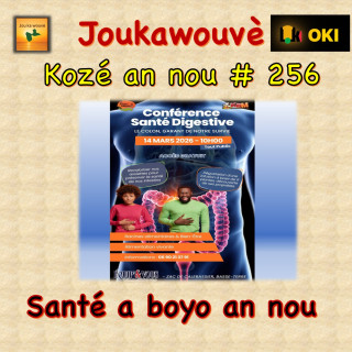 KAN N°256 Conférence sur la santé digestive