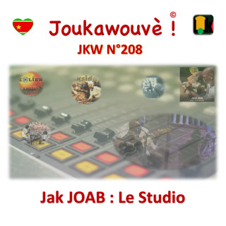 JKW N°208 Le Studio Jak JOAB